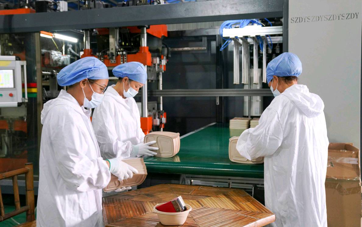 英德雙輪驅(qū)動(dòng) 生物基材料創(chuàng)新研發(fā)，鑄就“百千萬工程”三年新篇